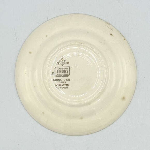American Limoges Triumph Made In USA China D'OR 1T-S284 Vintage Cup And Saucer - Picture 5 of 6